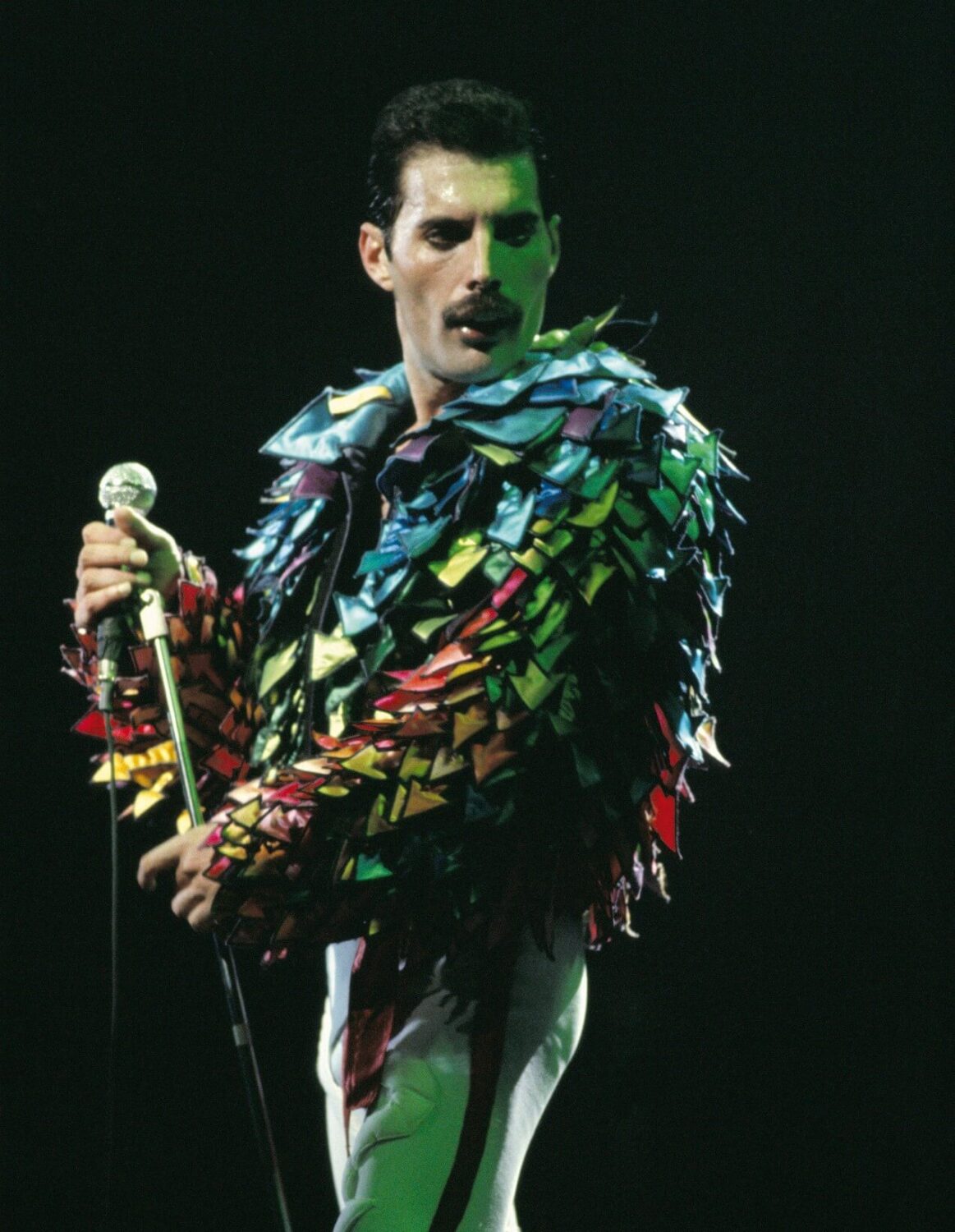 looks de Freddie Mercury