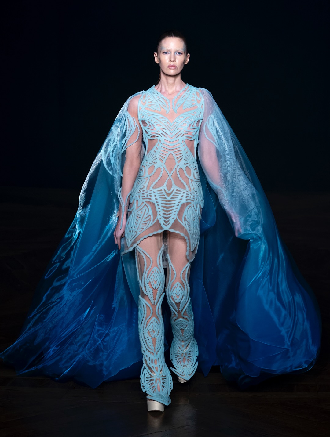vestido alta costura Iris van Herpen