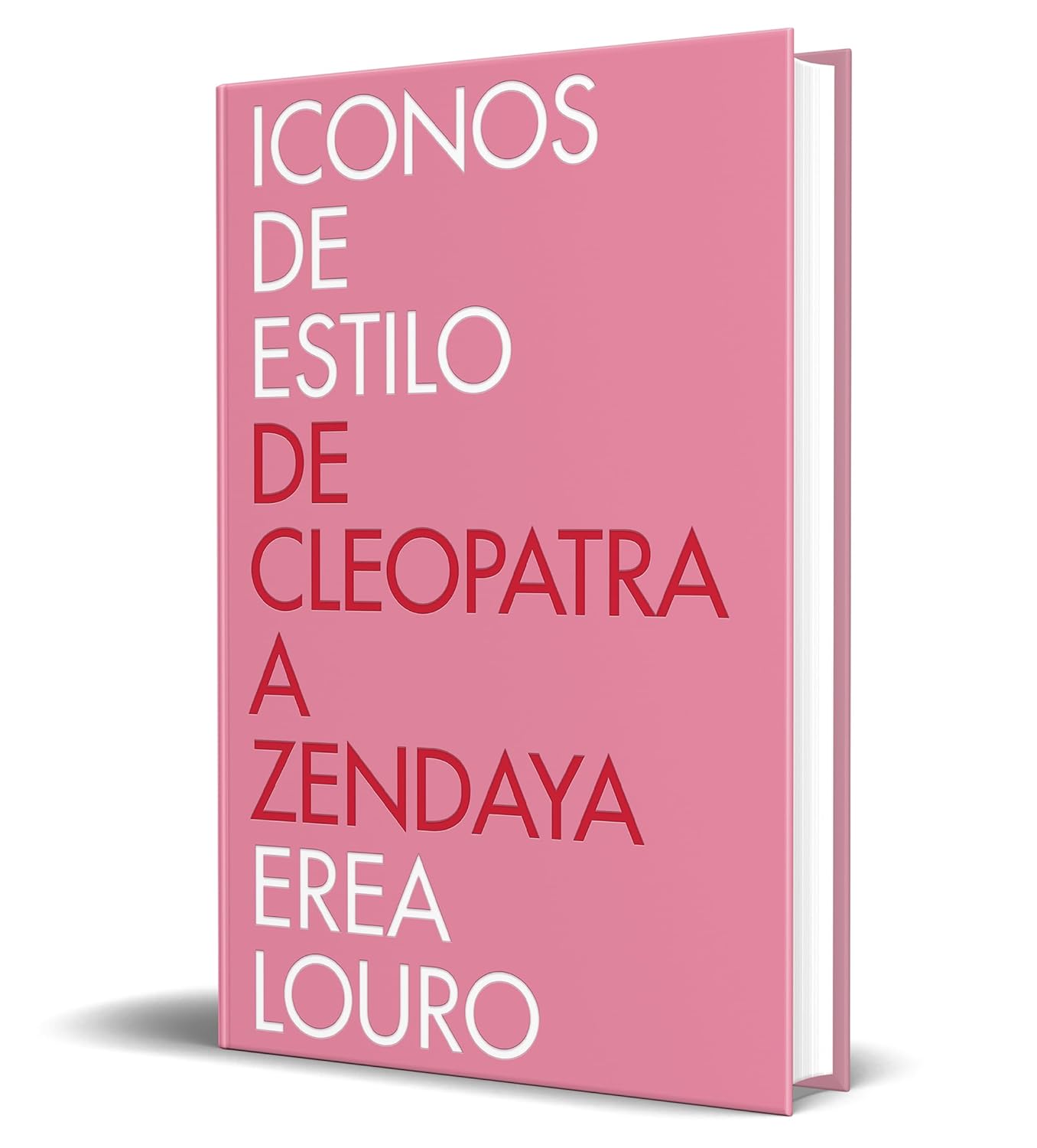 Libro Iconos de estilo
